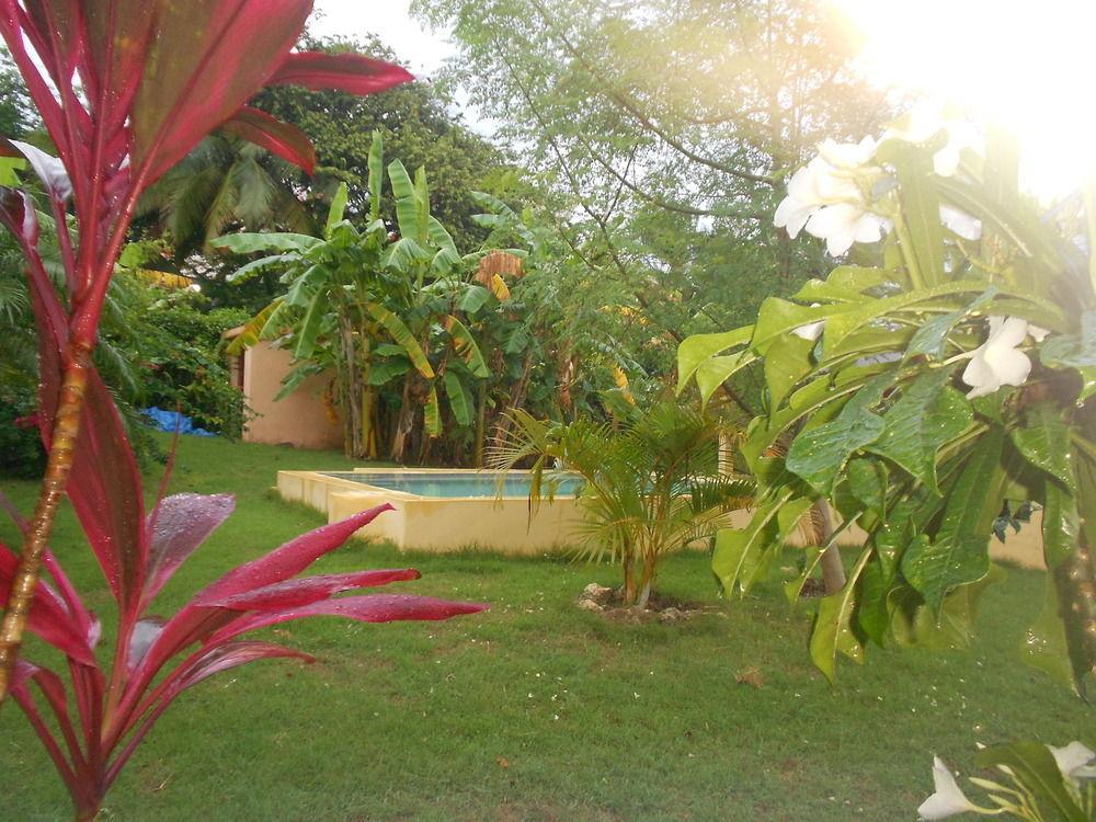 Gipsy Ranch Rooms Cabarete Luaran gambar